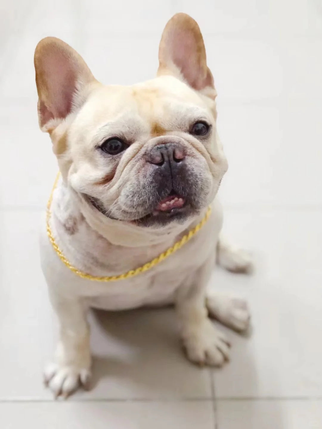 Pet Handmade Leather Carving Customization